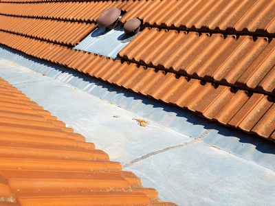 About Leaking Skylight Repair Pros Coulterville, IL